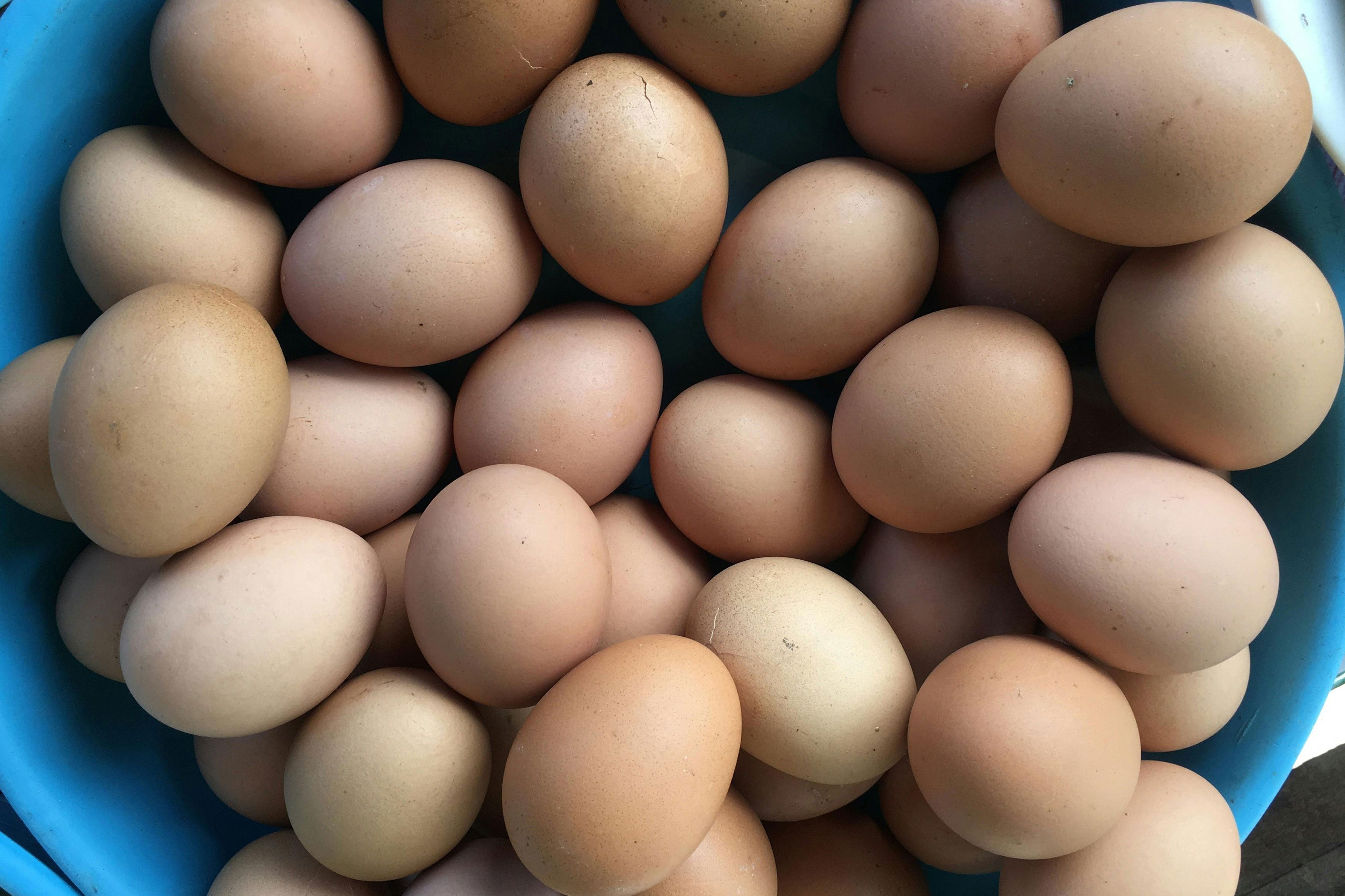 Vitamin B12: What to Know