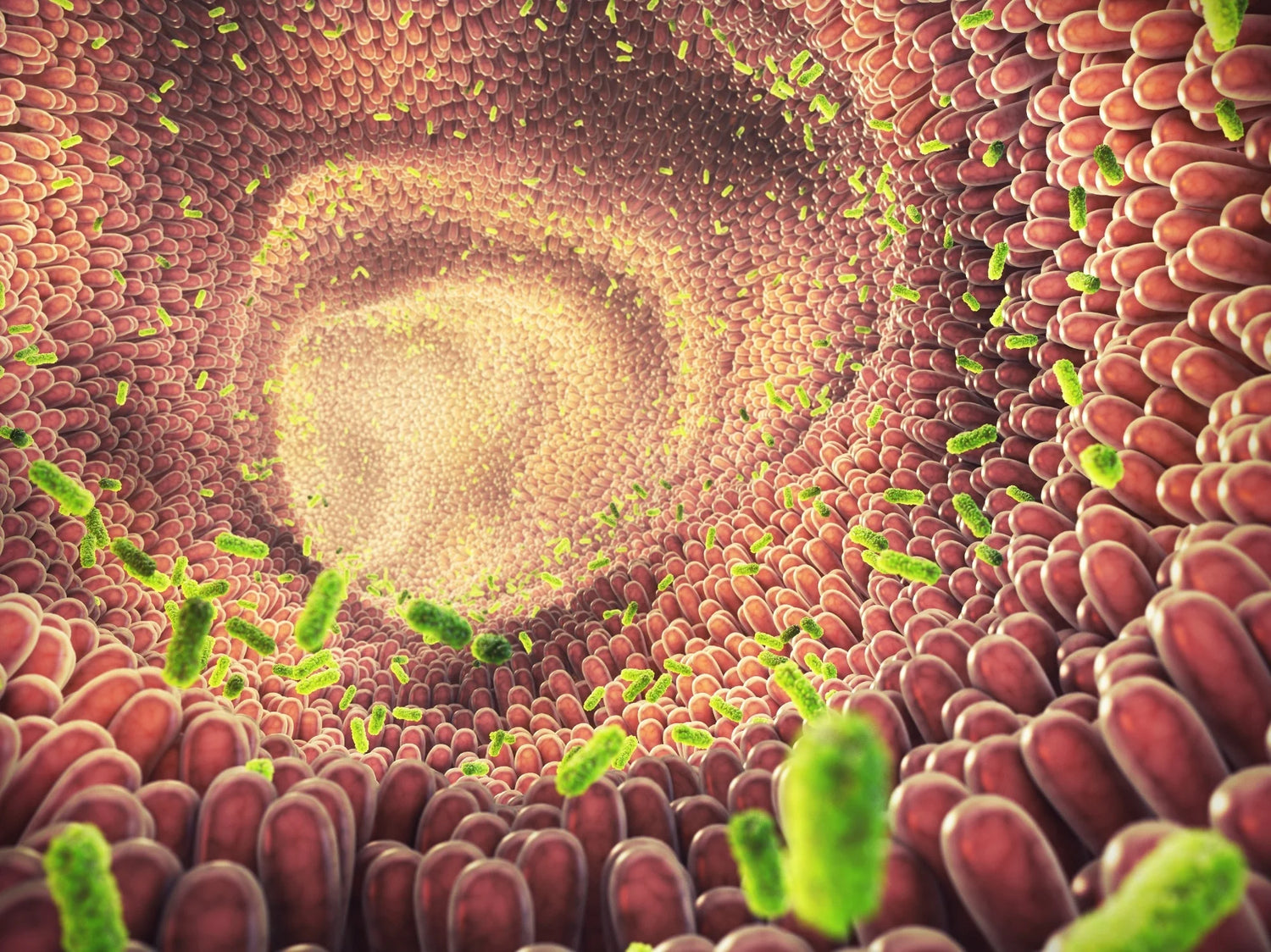 The Gut Microbiome: Your Hidden Ally for a Healthier You