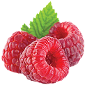Riptide Raspberry Fruit