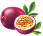 Paradise Passionfruit Fruit
